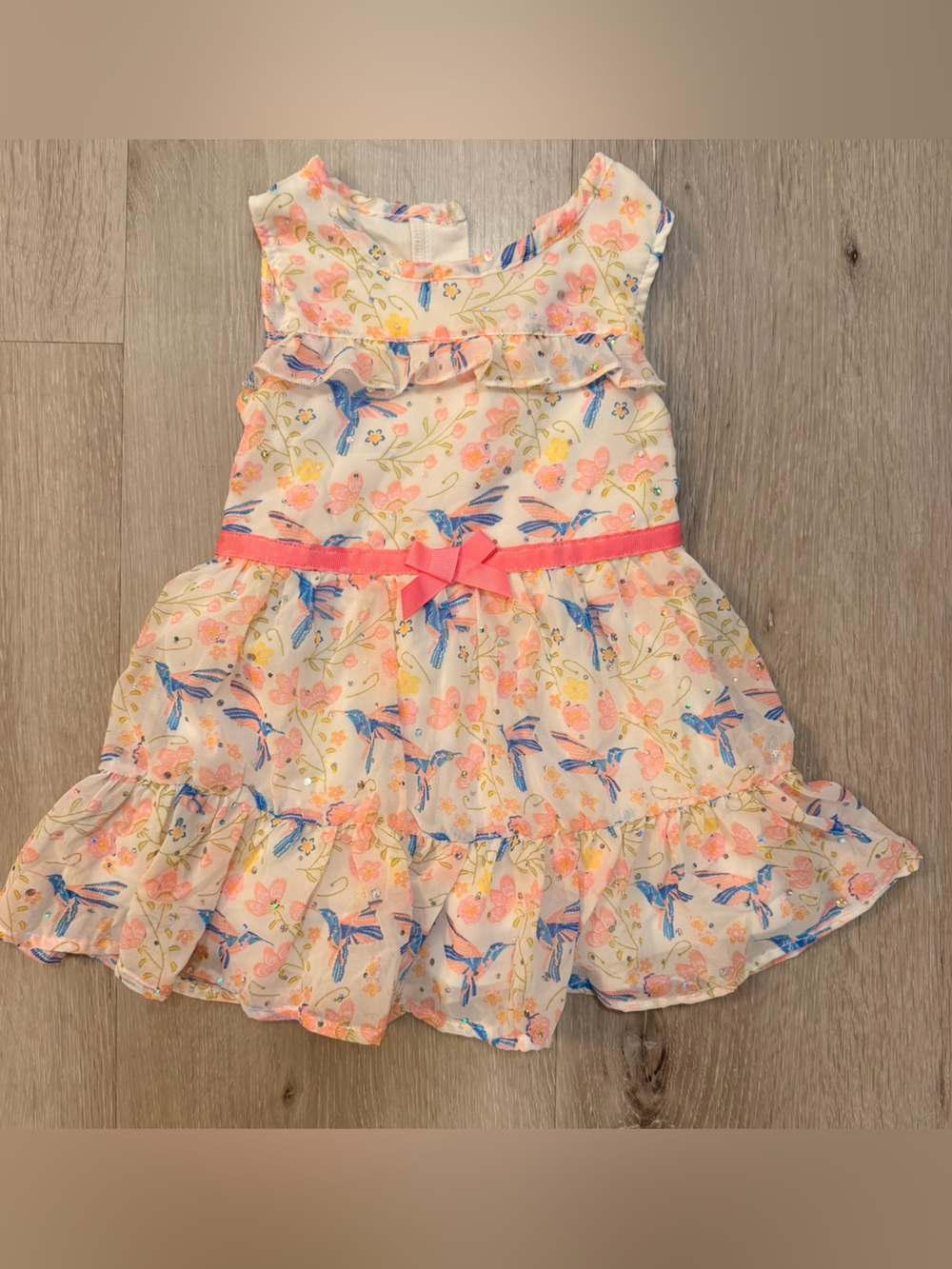 Little Lass Hummingbird summer dress Size 18months NWOT